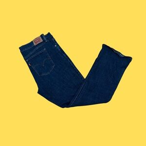 Levi's Men's Indigo Straight Jeans